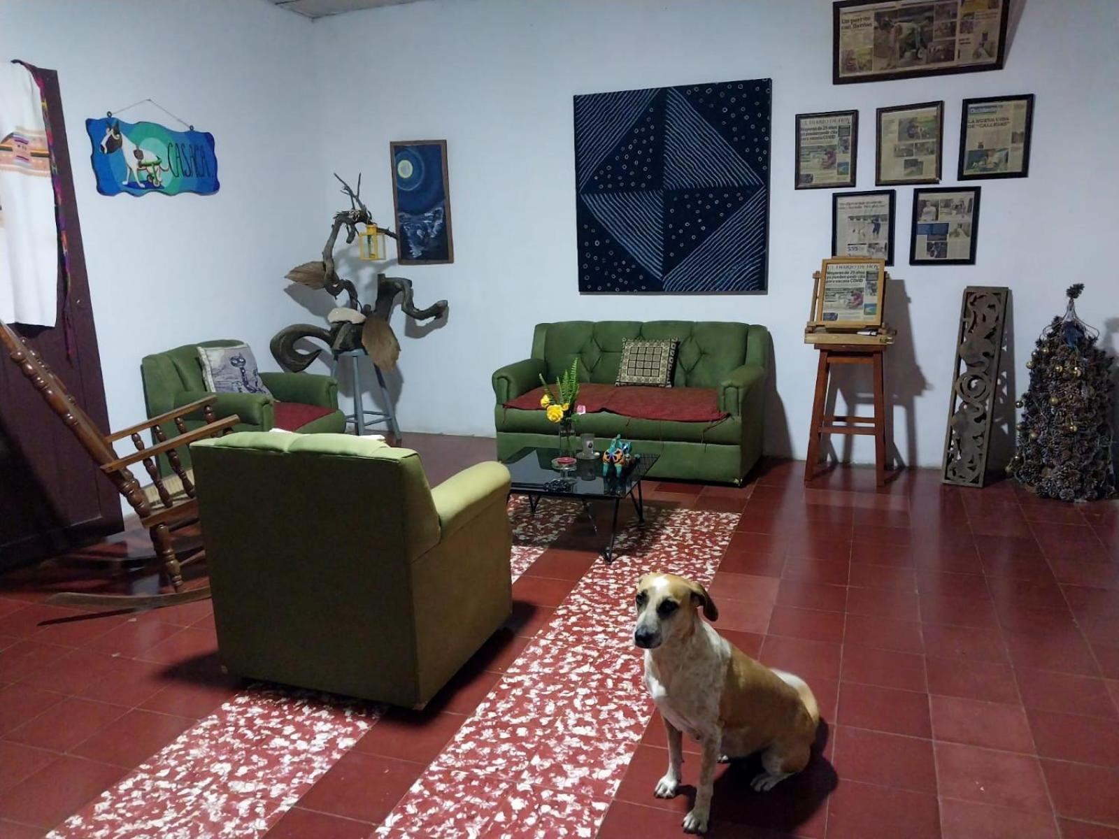 Casaca Leilighet Concepción de Ataco Eksteriør bilde